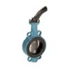 Robinet fonta fluture disc inox motorizabil PN16 DN  80